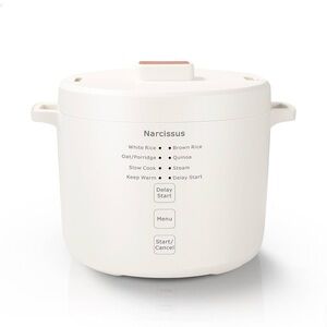 Cream Rice Cooker